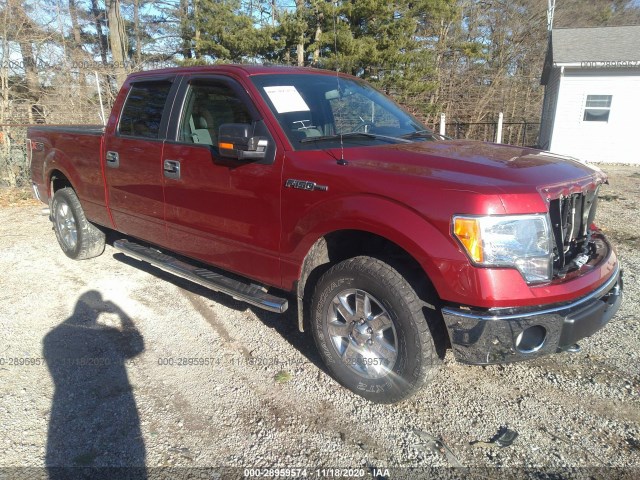 FORD F-150 2013 1ftfw1ef8dfb55331