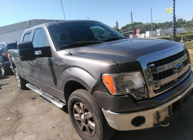 FORD F-150 2013 1ftfw1ef8dfc43781