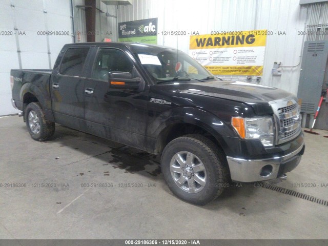 FORD F-150 2013 1ftfw1ef8dfd11318