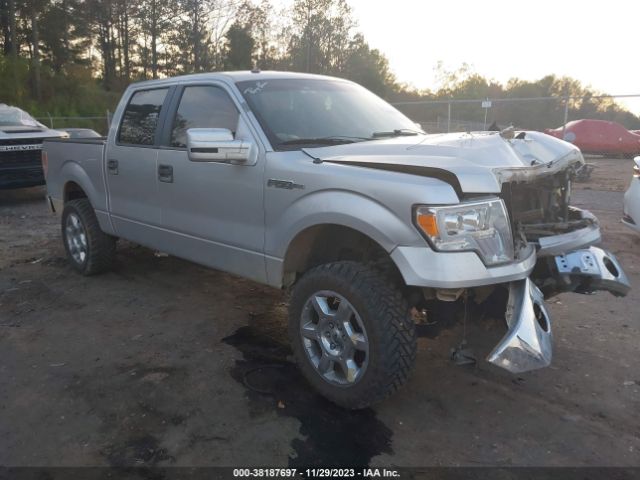 FORD F-150 2013 1ftfw1ef8dfd45548