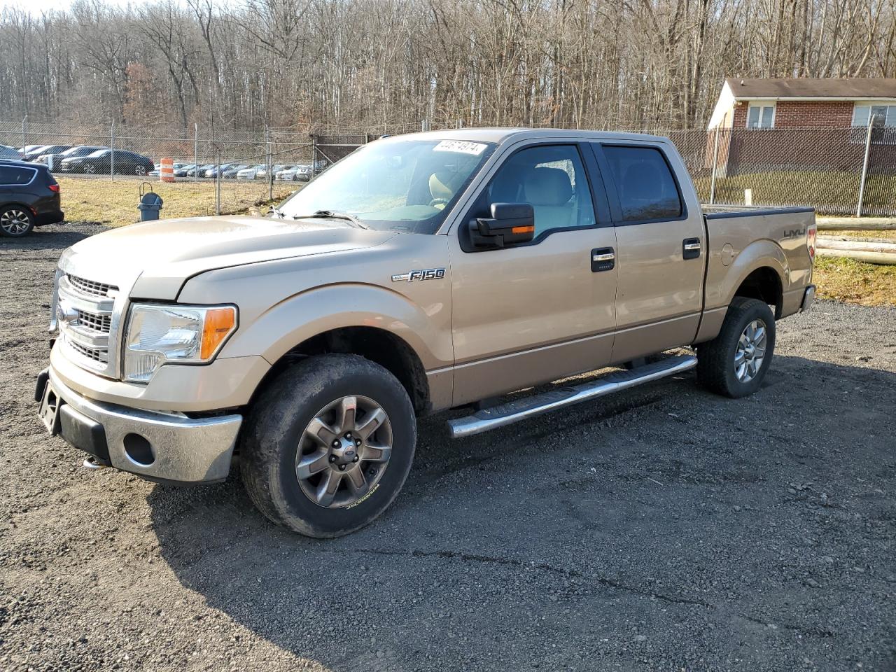 FORD F-150 2013 1ftfw1ef8dfd88996