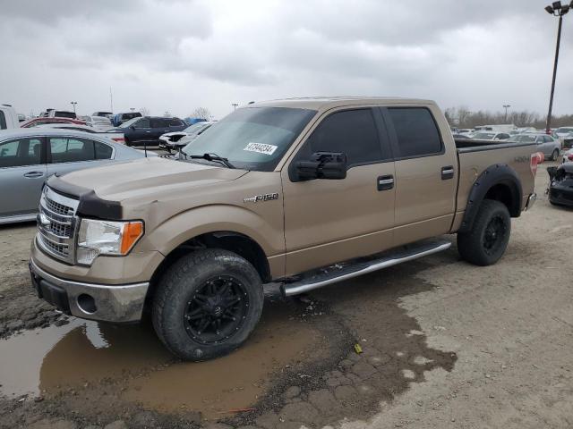 FORD F-150 2013 1ftfw1ef8dkd14680