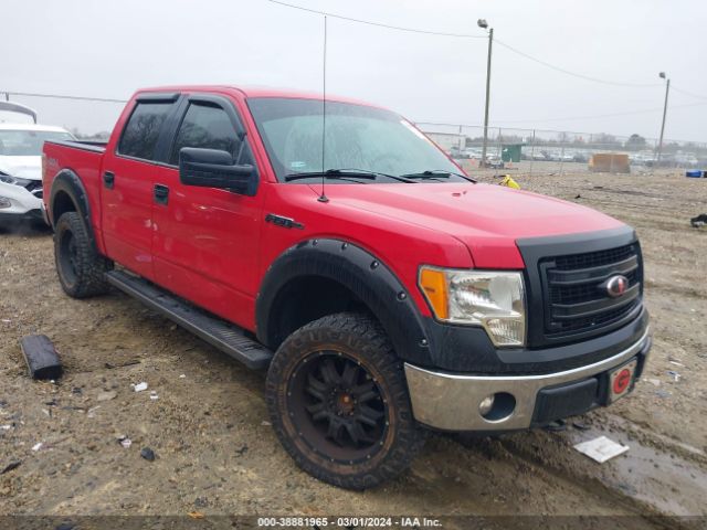 FORD F-150 2013 1ftfw1ef8dkd19216