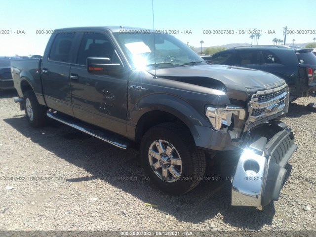 FORD F-150 2013 1ftfw1ef8dkd21130