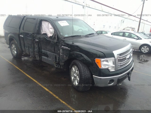 FORD F-150 2013 1ftfw1ef8dkd96815