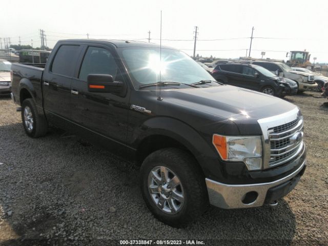 FORD F-150 2013 1ftfw1ef8dke13659