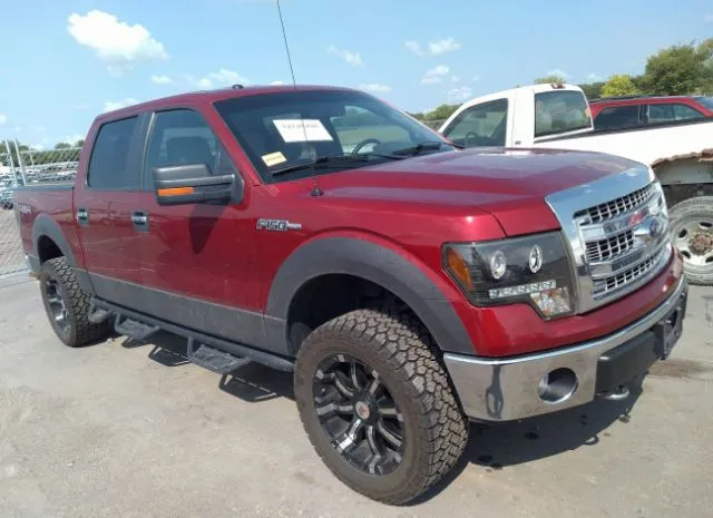 FORD F-150 2013 1ftfw1ef8dke44832