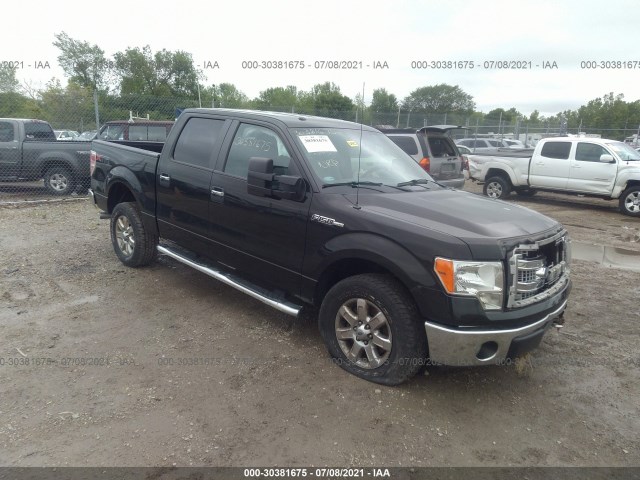 FORD F-150 2013 1ftfw1ef8dkf38807