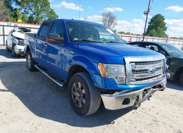 FORD F-150 2013 1ftfw1ef8dkf42436