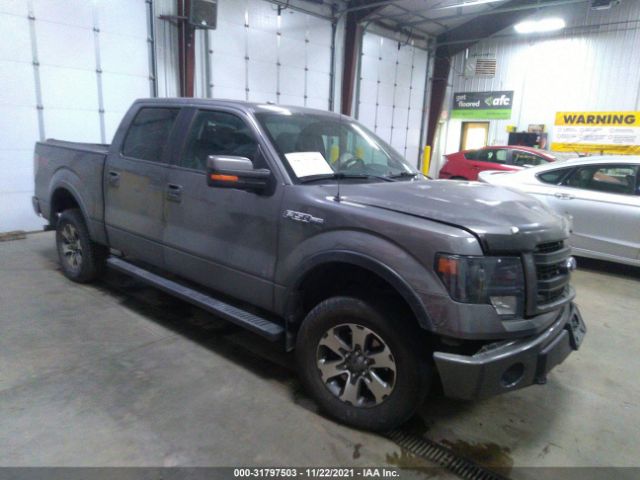 FORD F-150 2013 1ftfw1ef8dkf42498