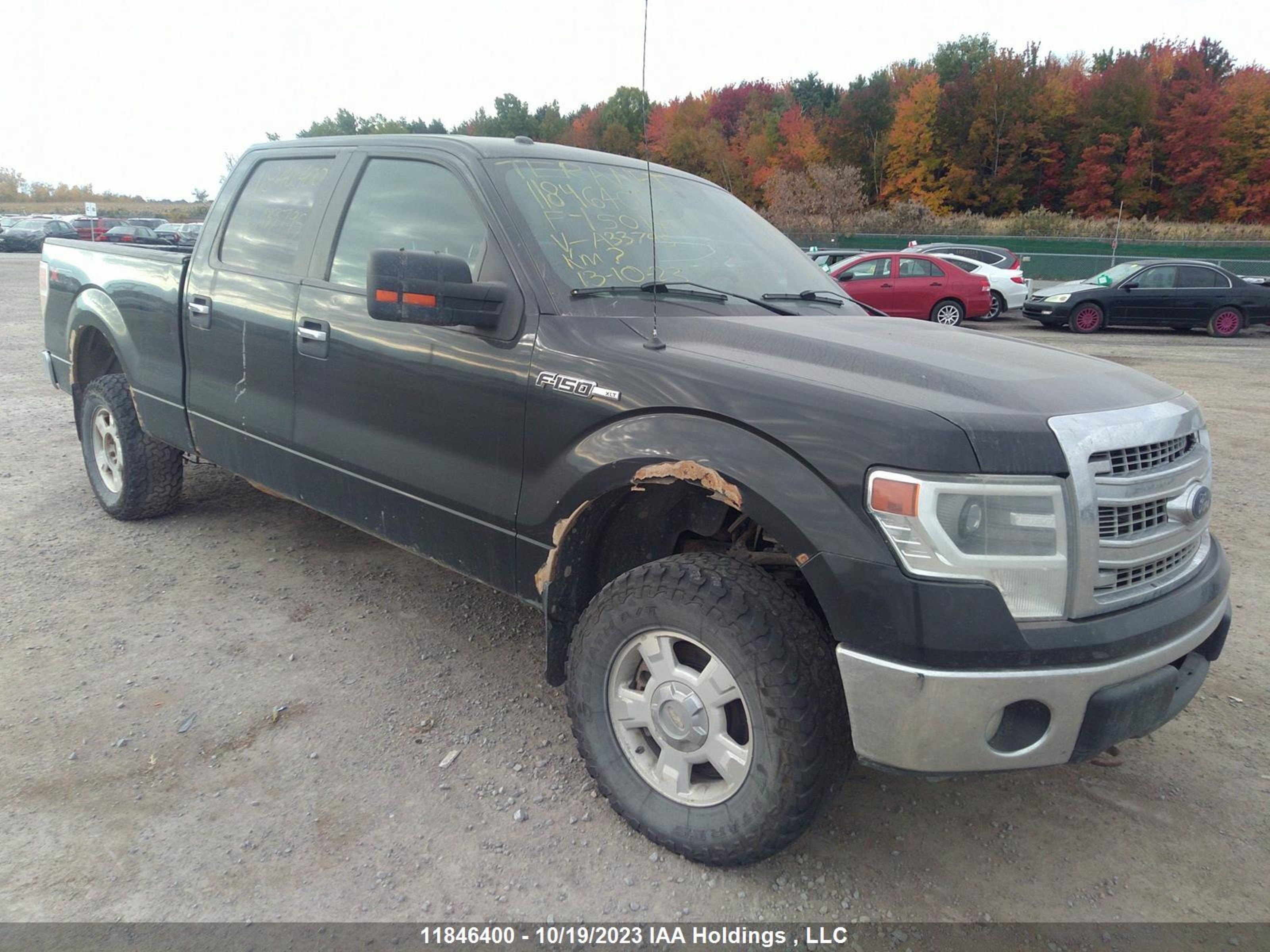 FORD F-150 2014 1ftfw1ef8efa33795