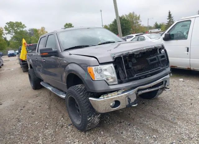 FORD F-150 2014 1ftfw1ef8efb18930