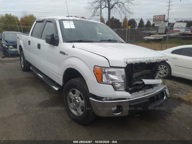 FORD F-150 2014 1ftfw1ef8efb34867