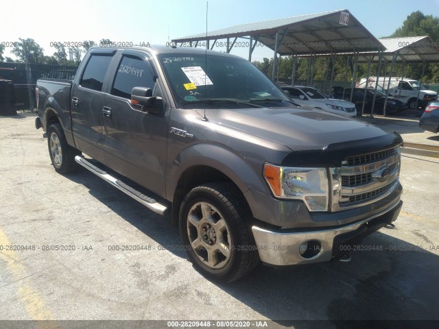 FORD F-150 2014 1ftfw1ef8efc63837