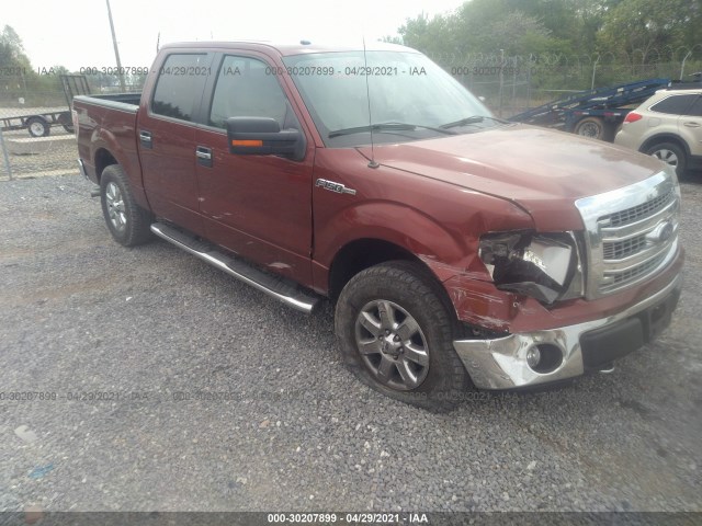 FORD F-150 2014 1ftfw1ef8ekd73097