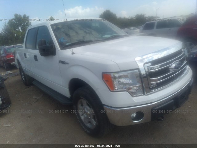 FORD F-150 2014 1ftfw1ef8eke85642