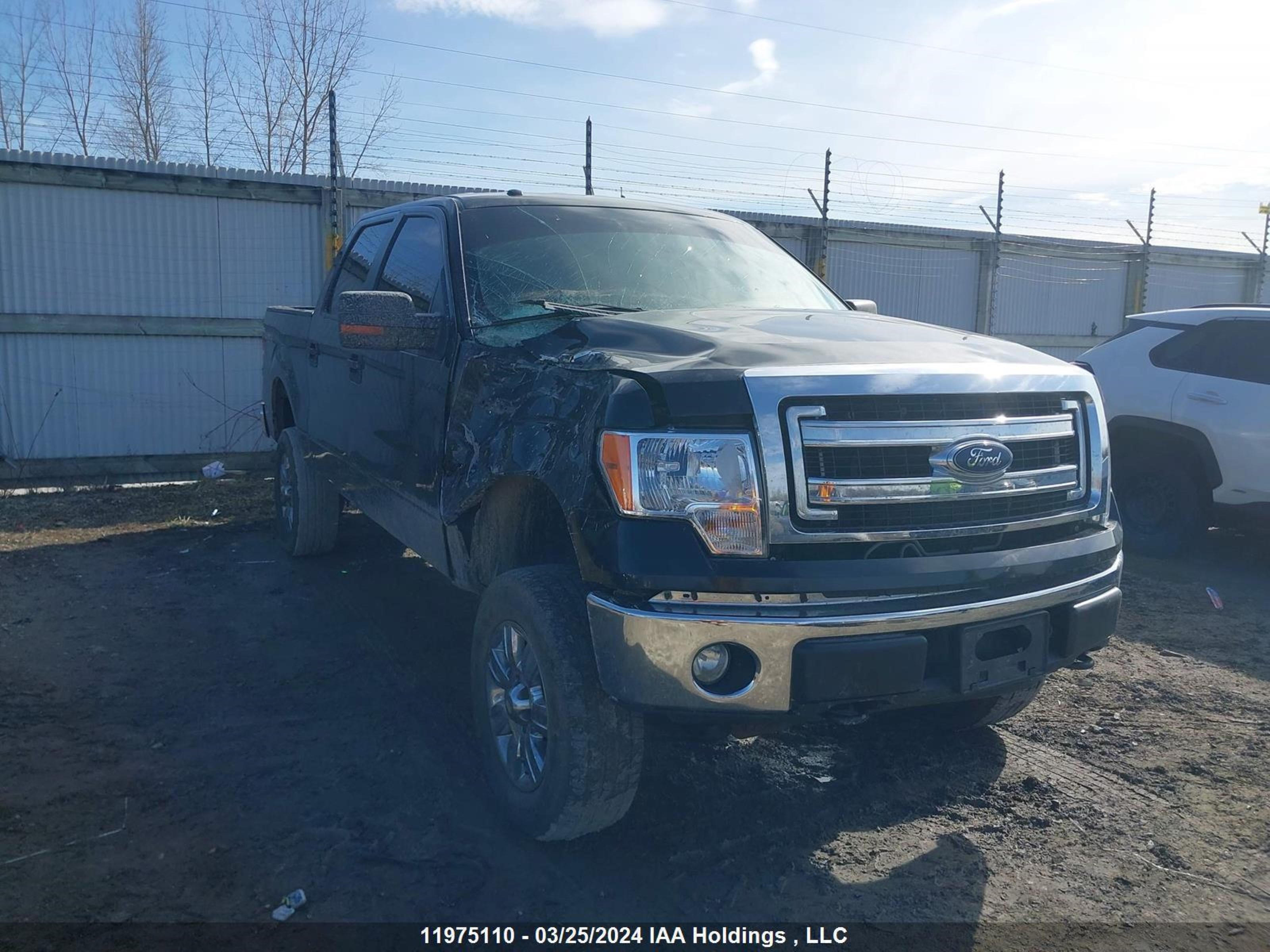 FORD F-150 2014 1ftfw1ef8ekg16343