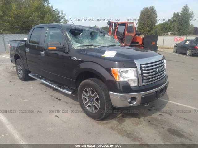 FORD F-150 2011 1ftfw1ef9bfa80118