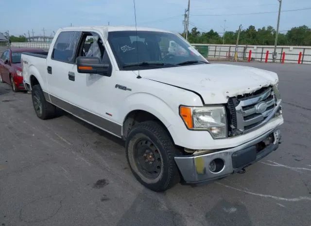 FORD F-150 2011 1ftfw1ef9bfc07496