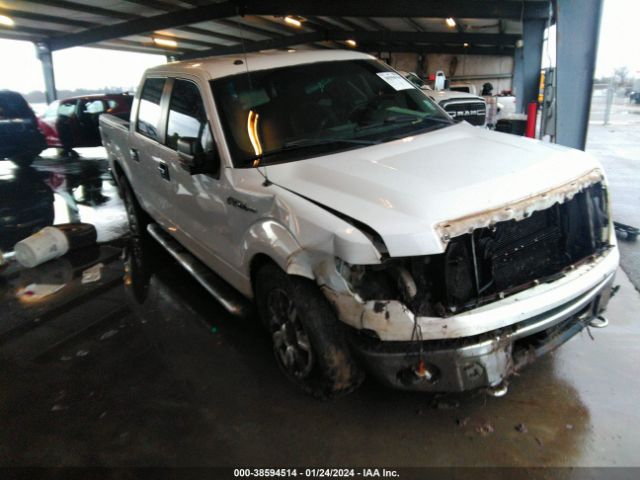 FORD F-150 2011 1ftfw1ef9bfc55886