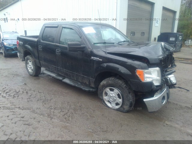 FORD F-150 2012 1ftfw1ef9cfa07915