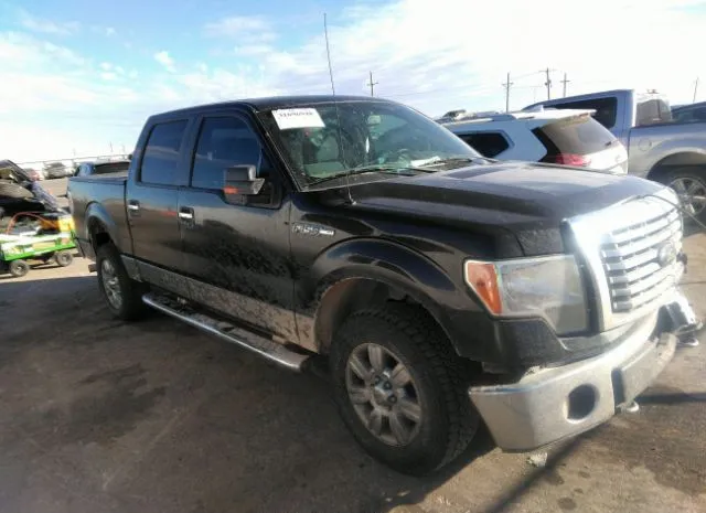 FORD F-150 2012 1ftfw1ef9cfc39396