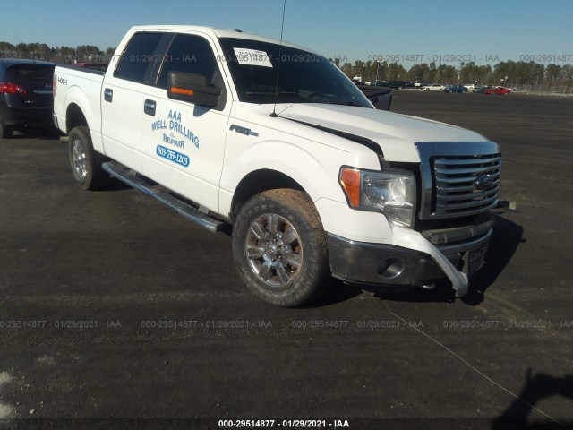 FORD F-150 2012 1ftfw1ef9cfc47904