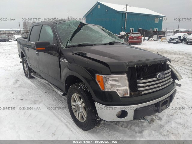 FORD F-150 2012 1ftfw1ef9cfc81048