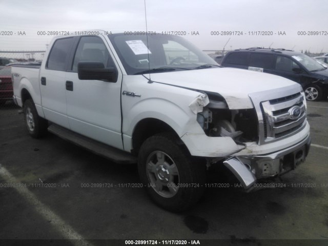 FORD F-150 2012 1ftfw1ef9cke24264