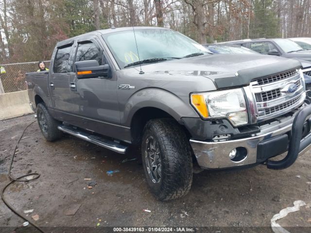 FORD F-150 2013 1ftfw1ef9dfa35795