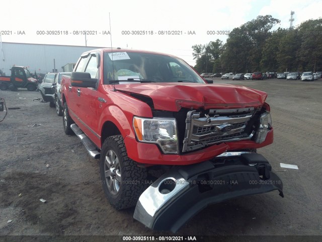 FORD F-150 2013 1ftfw1ef9dfa43654