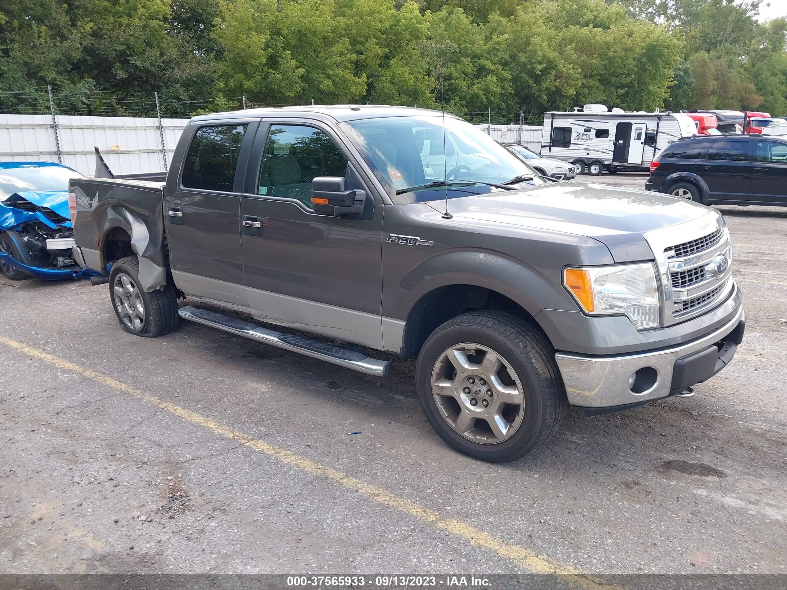 FORD F-150 2013 1ftfw1ef9dfa51530