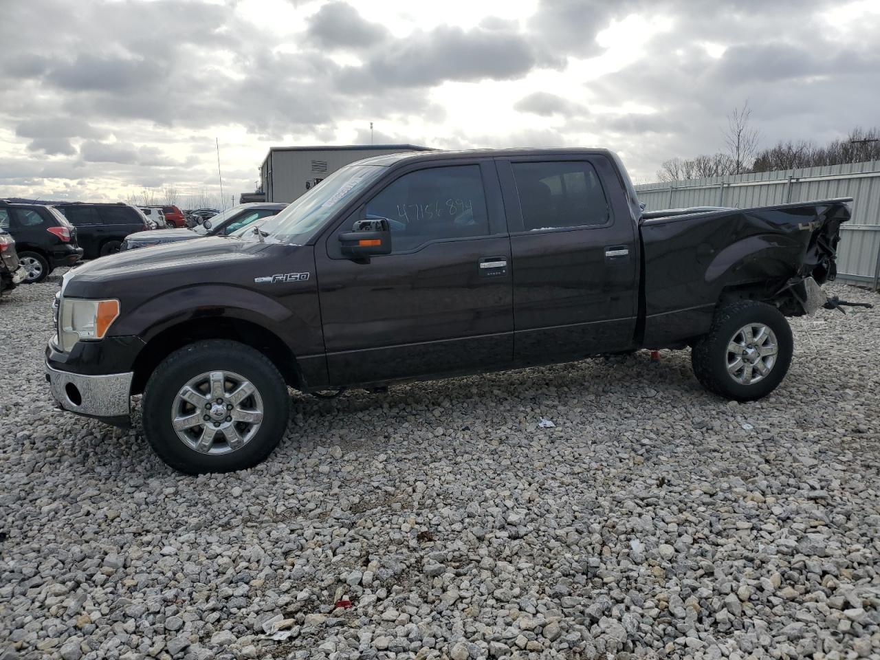 FORD F-150 2013 1ftfw1ef9dfa52242