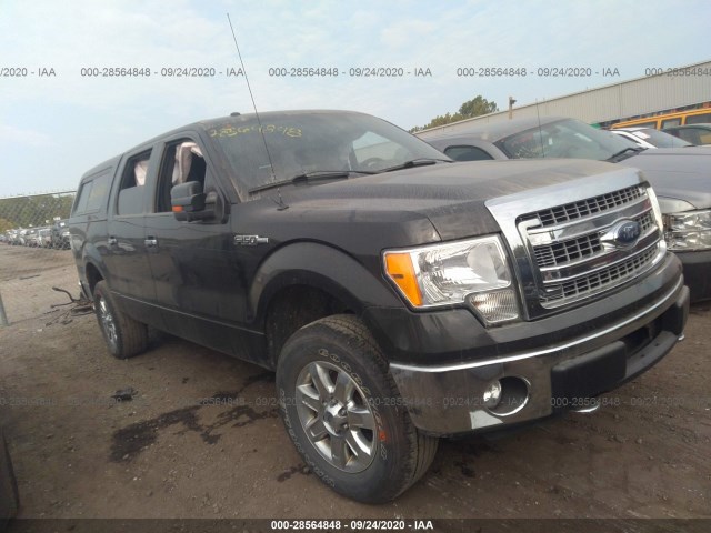 FORD F-150 2013 1ftfw1ef9dfa52404