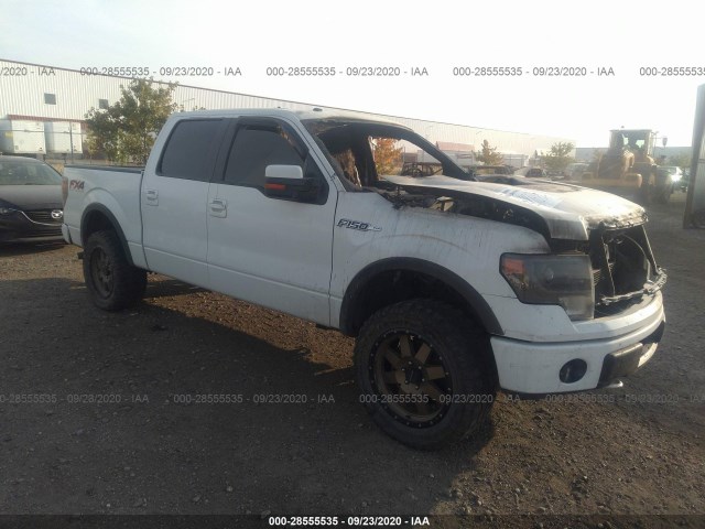 FORD F-150 2013 1ftfw1ef9dfb32866