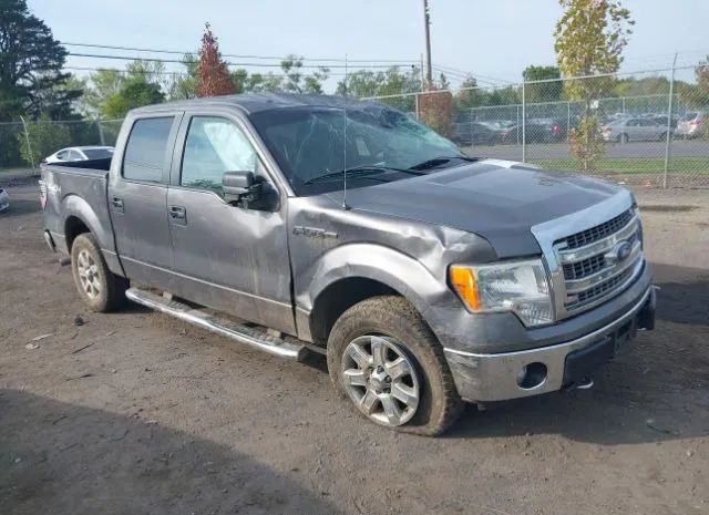 FORD F-150 2013 1ftfw1ef9dfb79167