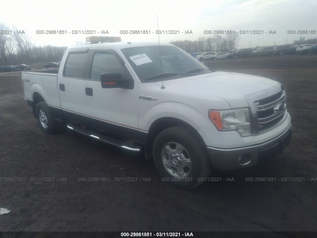 FORD F-150 2013 1ftfw1ef9dfb99905