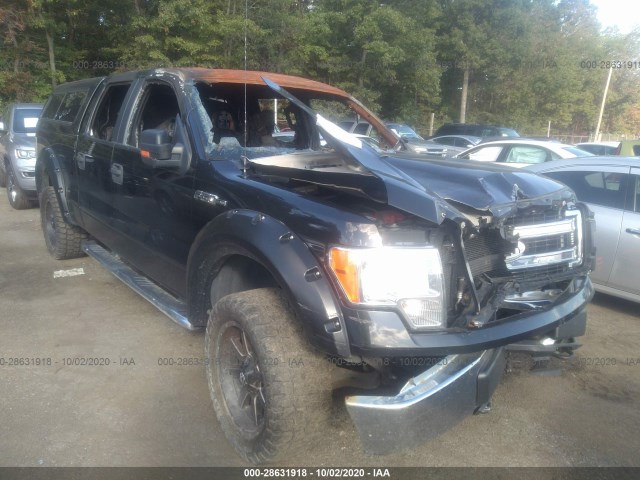 FORD F-150 2013 1ftfw1ef9dfc00955