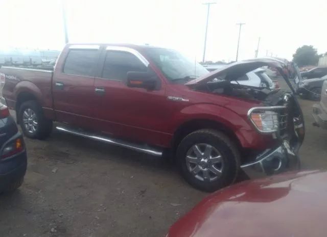 FORD F-150 2013 1ftfw1ef9dfd16379