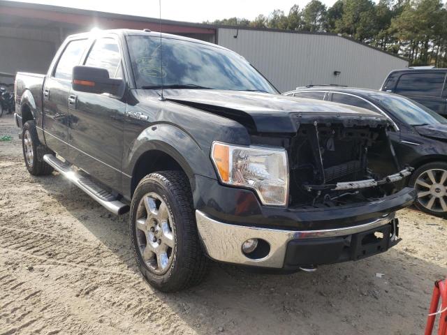 FORD F150 2013 1ftfw1ef9dfd36812