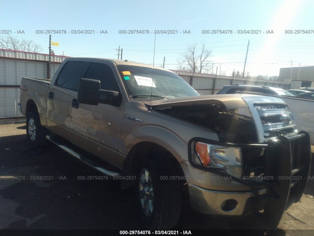 FORD F-150 2013 1ftfw1ef9dfd76680