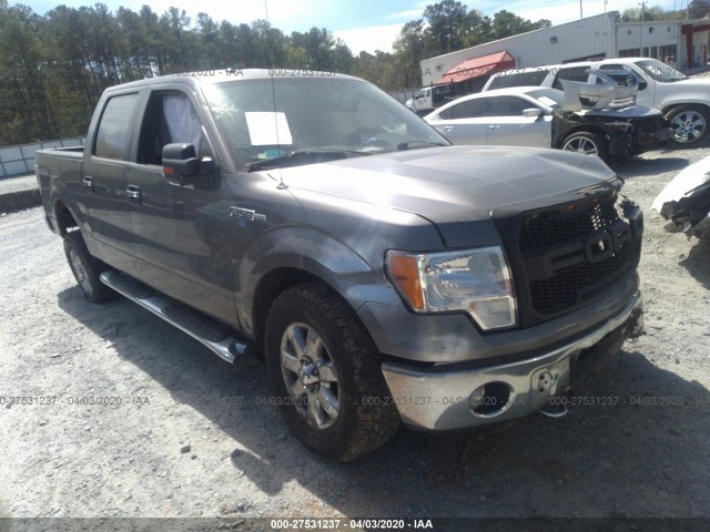 FORD F-150 2013 1ftfw1ef9dfd91518