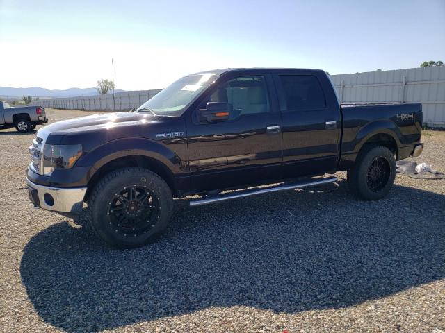 FORD F-150 2013 1ftfw1ef9dkd13361