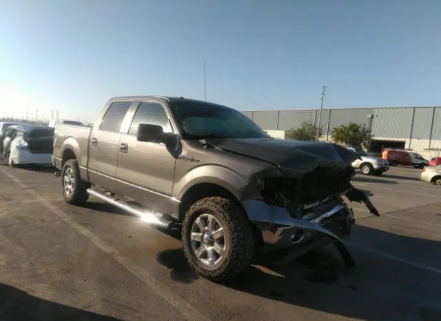 FORD F-150 2013 1ftfw1ef9dkd54749