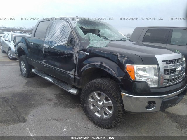 FORD F-150 2013 1ftfw1ef9dkd67890