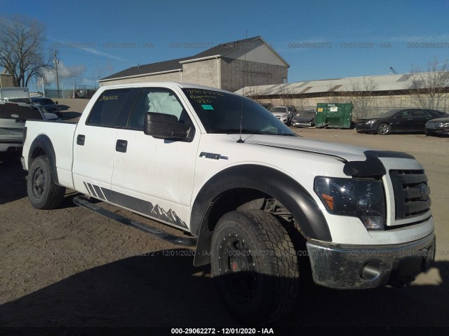 FORD F-150 2013 1ftfw1ef9dkf15150