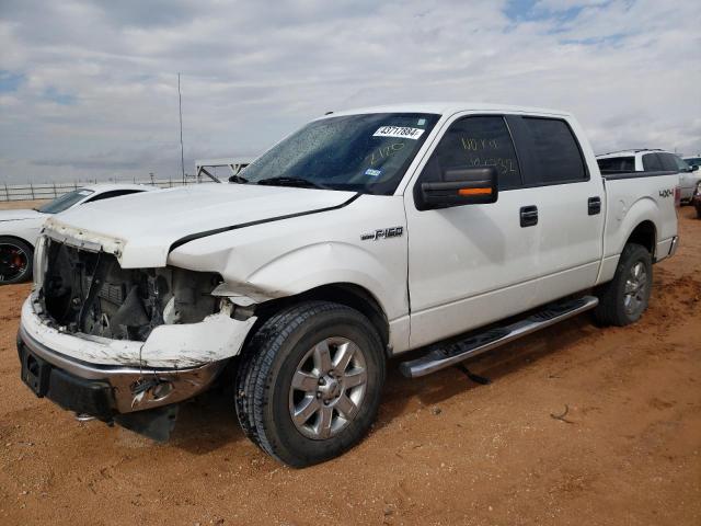 FORD F-150 2013 1ftfw1ef9dkf65059