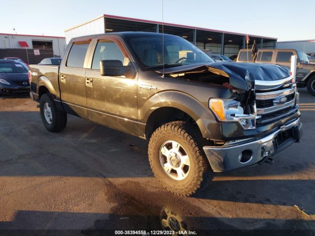 FORD F-150 2014 1ftfw1ef9efa18013