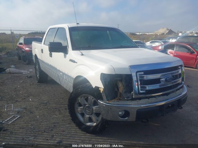 FORD F-150 2014 1ftfw1ef9efb03966