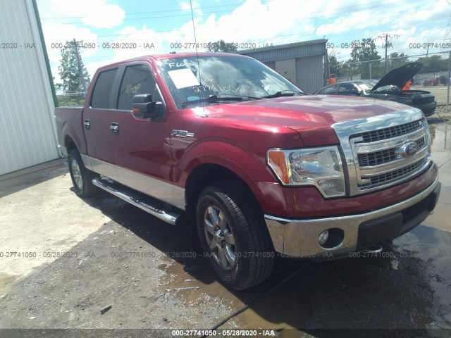 FORD F-150 2014 1ftfw1ef9efd06873